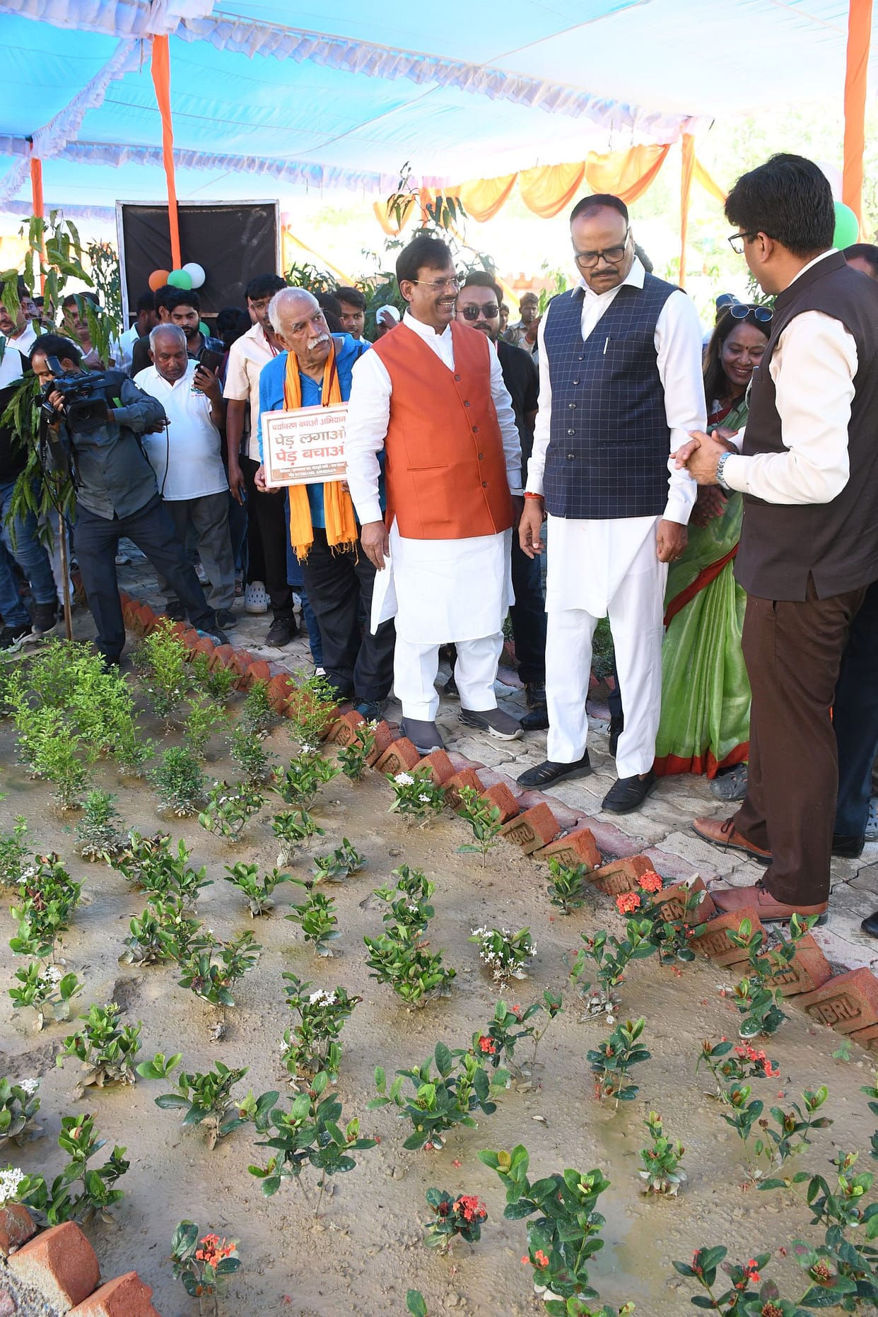 A grand drive for greenery: Record 3.6 million saplings planted.