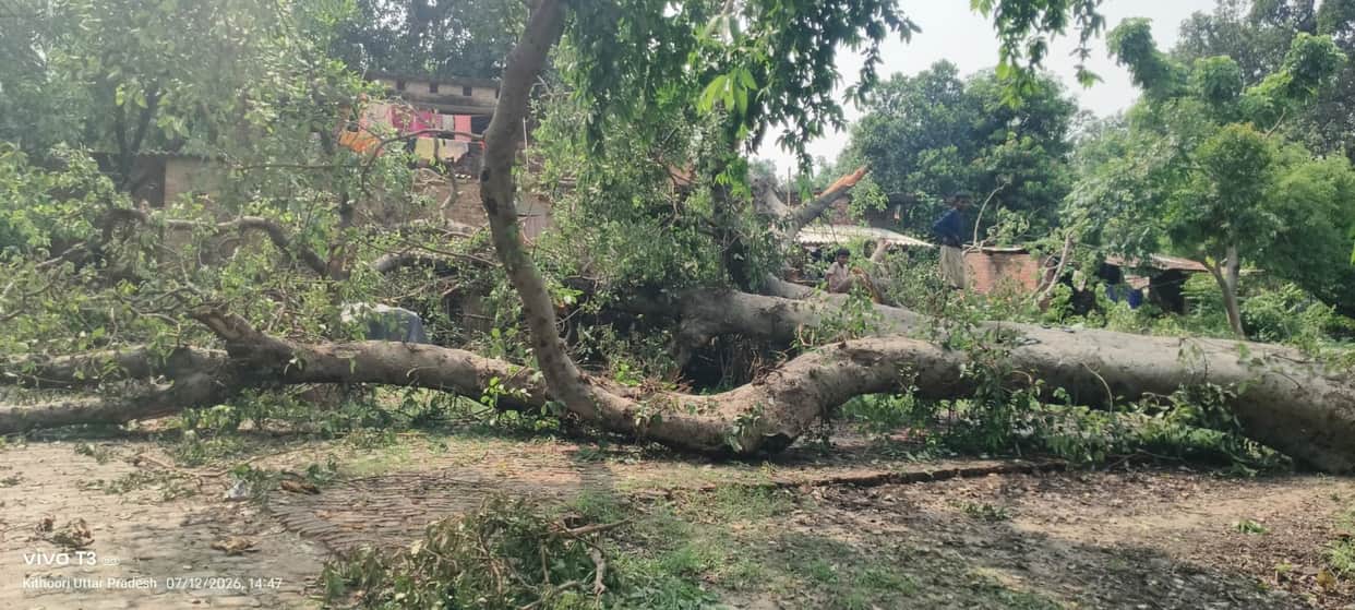 Tree falls due to lightning; house damaged.