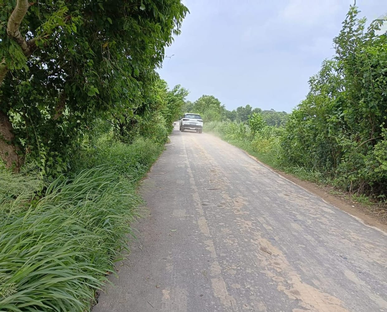 Condition of three roads spanning 32 km in the Harraiya area to be improved at a cost of Rs109 crore.
