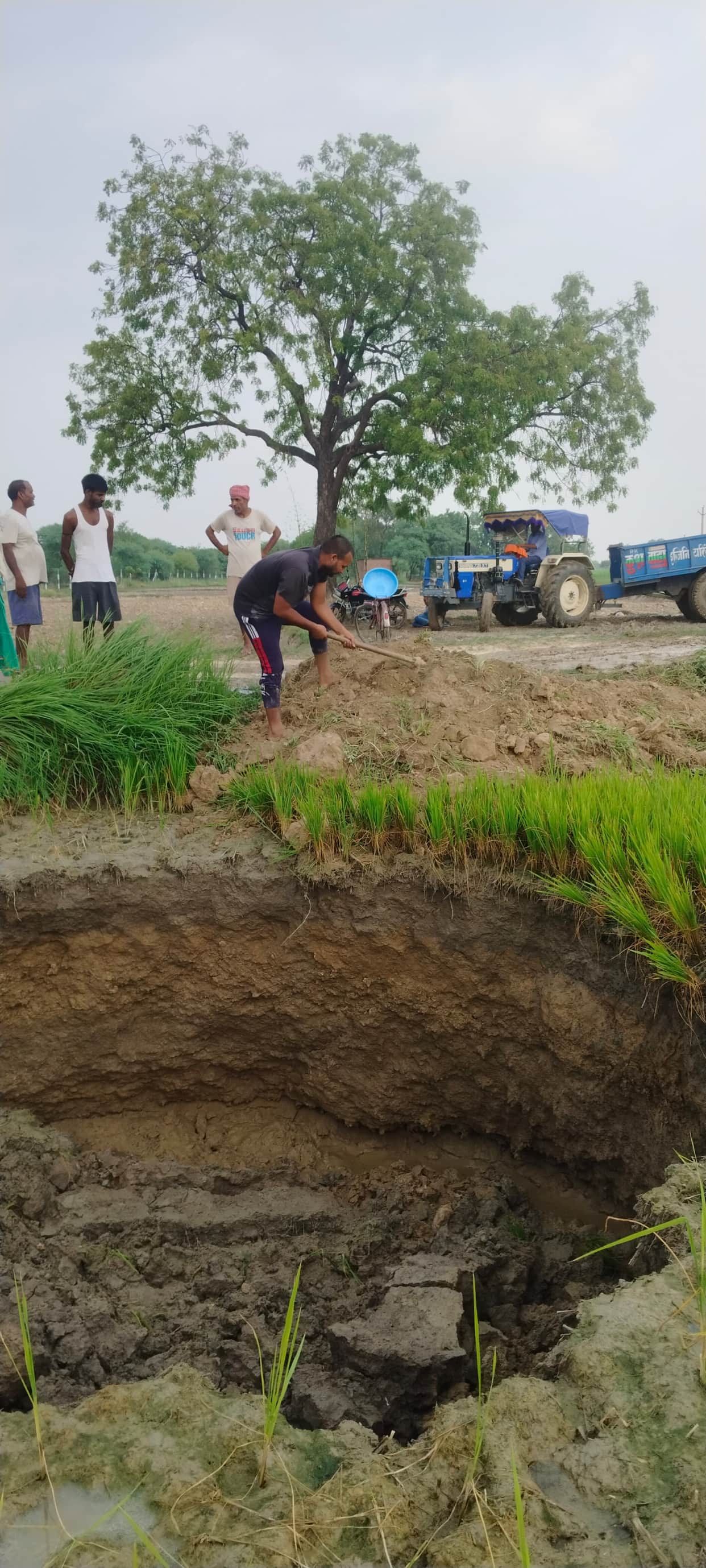 The farmer had the pit formed by the ground caving in on the farm filled with soil.