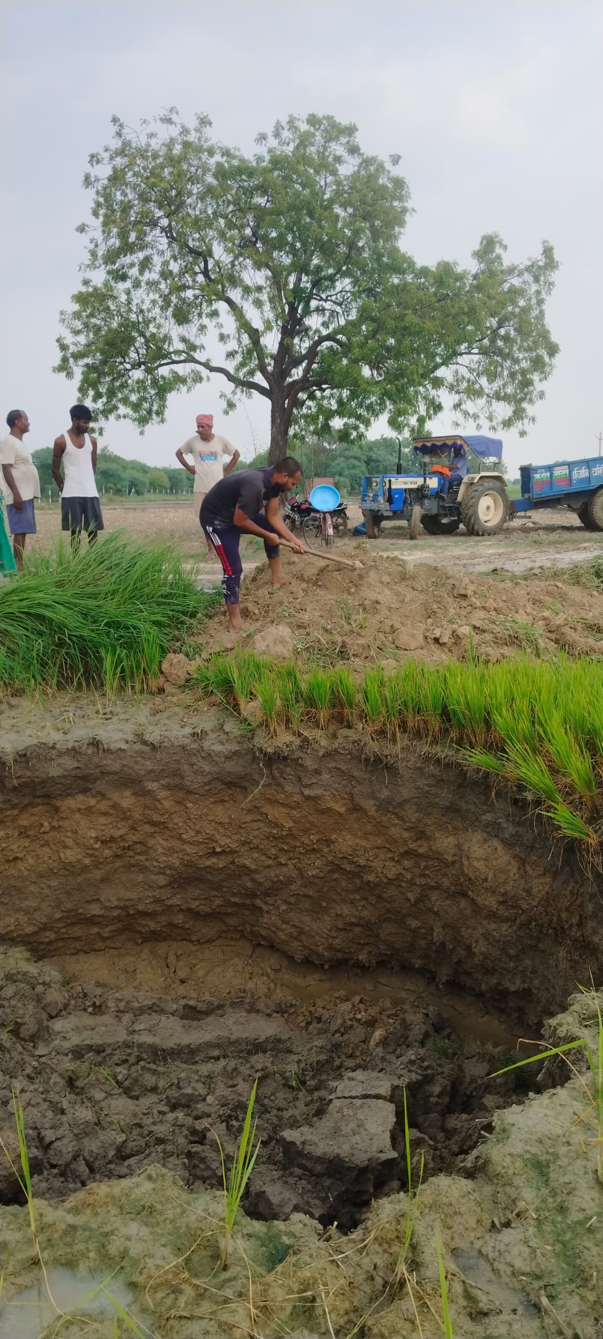 The farmer had the pit formed by the ground caving in on the farm filled with soil.