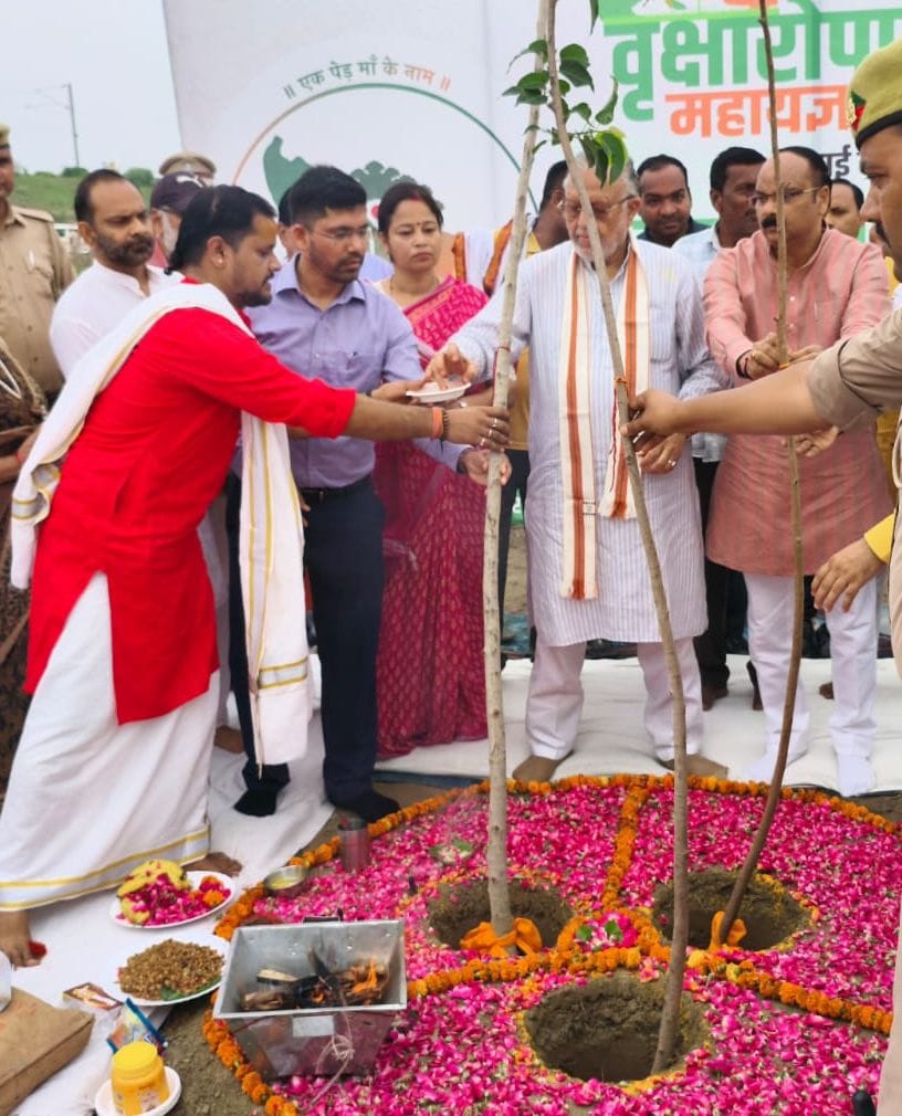 Massive tree plantation drive launched; 4.4 million saplings planted.