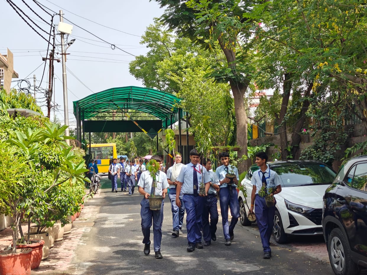 Students planted saplings along the dirty drain.