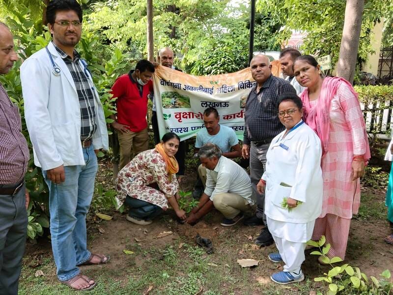 Doctors planted saplings.