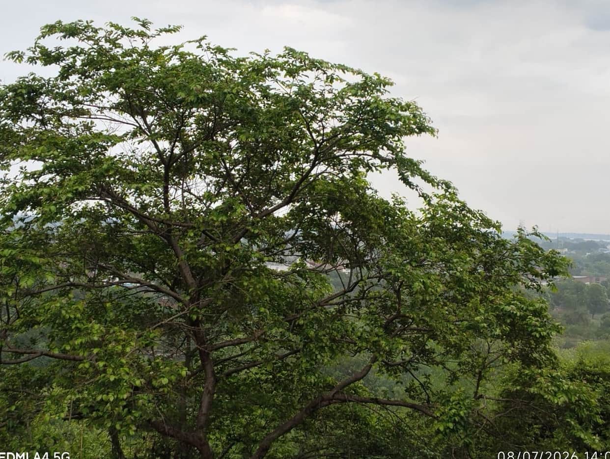 The clouds didn't rain... humidity heightened the restlessness.