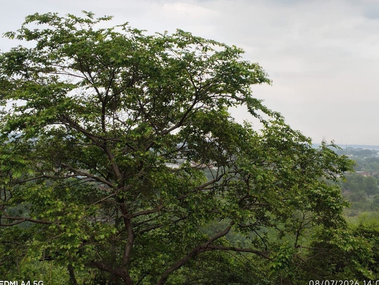 The clouds didn't rain... humidity heightened the restlessness.