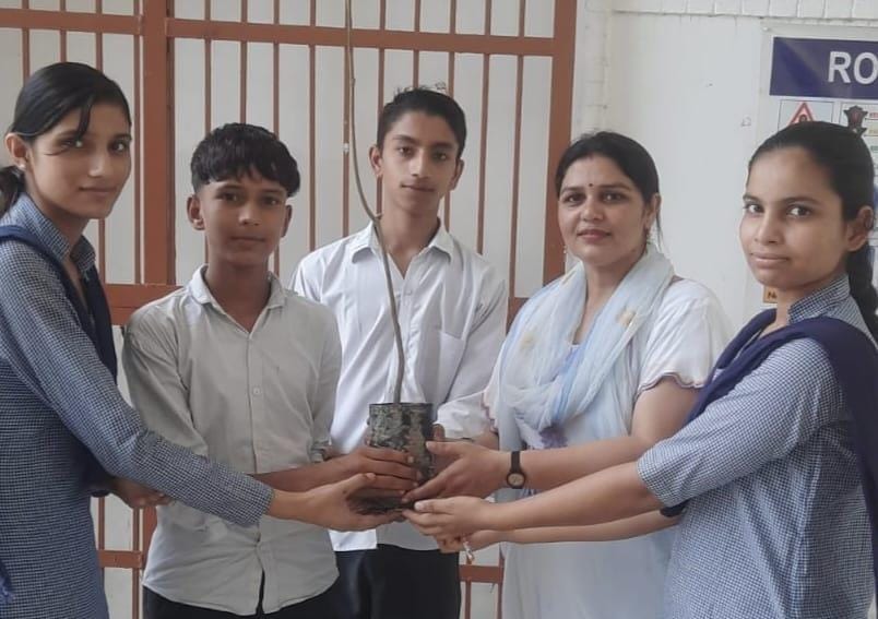 Saplings distributed to students under the 'A Tree in Mother's Name' campaign.