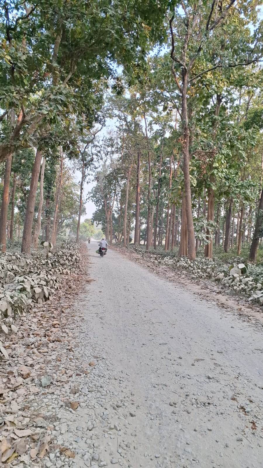 Road construction left incomplete for three years; authorities laid gravel on only half the stretch and then forgot about it.