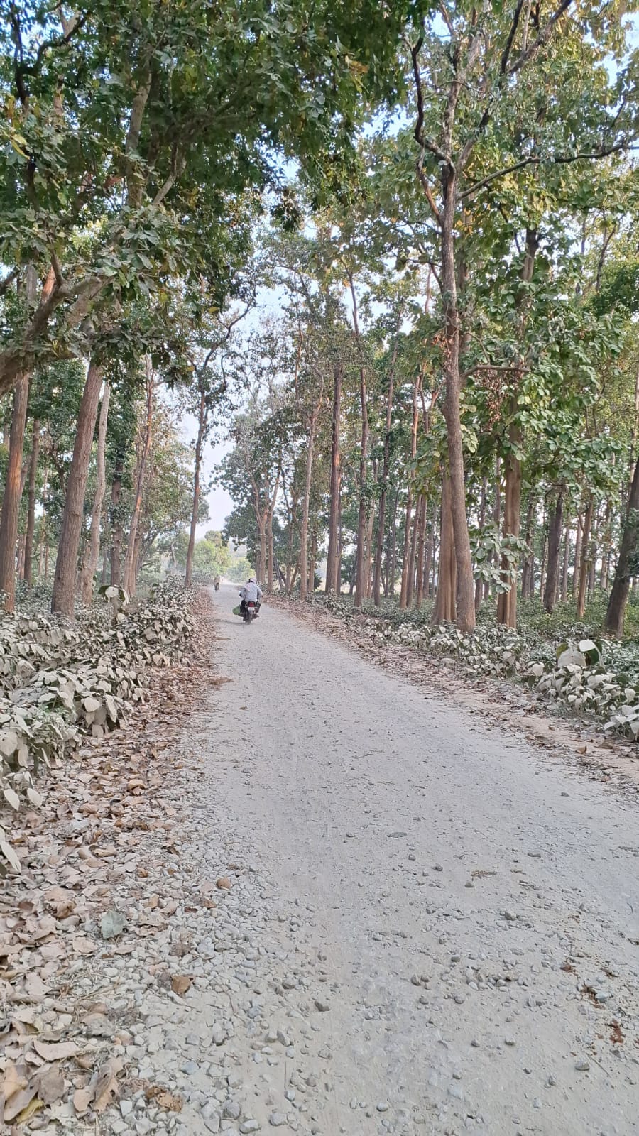 Road construction left incomplete for three years; authorities laid gravel on only half the stretch and then forgot about it.