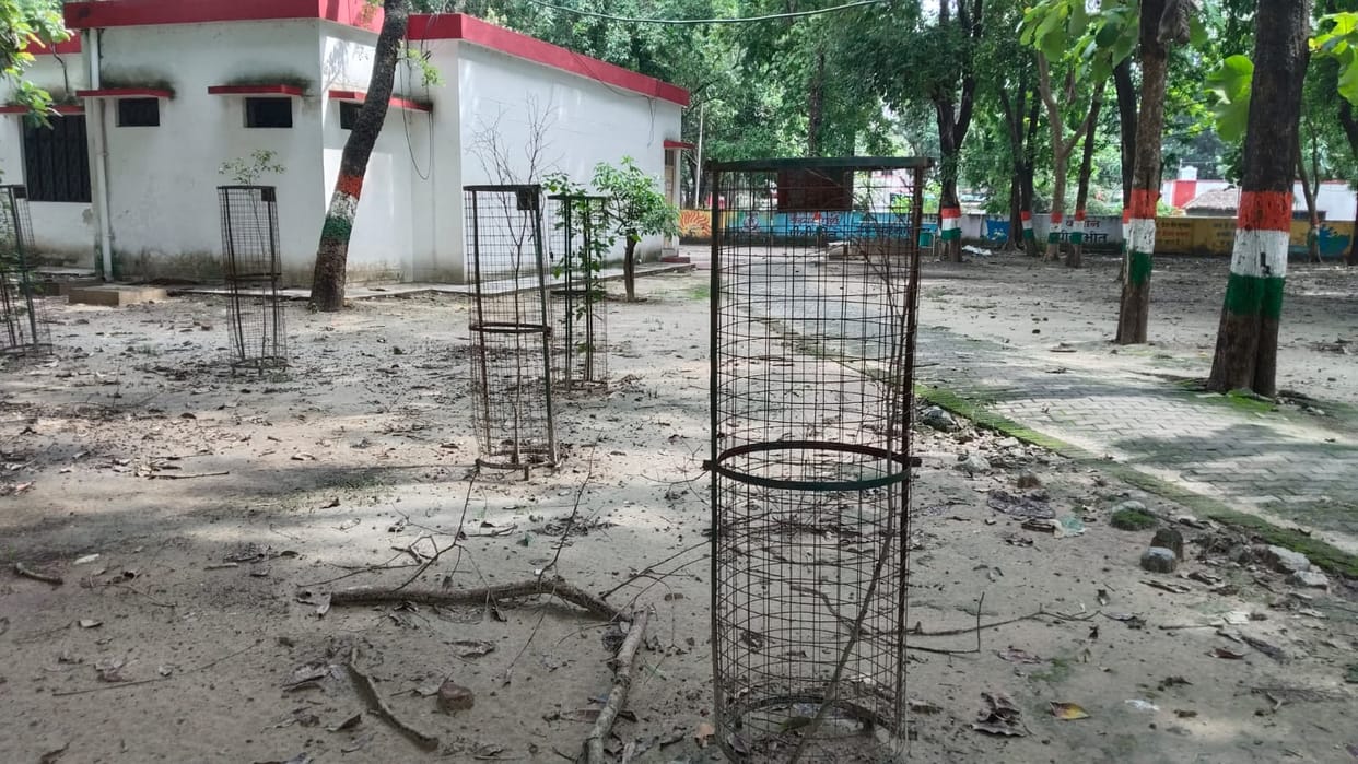 A tokenistic tree-planting festival; lakhs of saplings withered due to neglect.