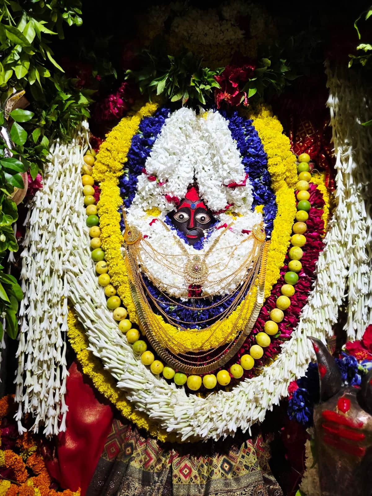 Maa Sheetala was adorned magnificently in a red saree and chunri.