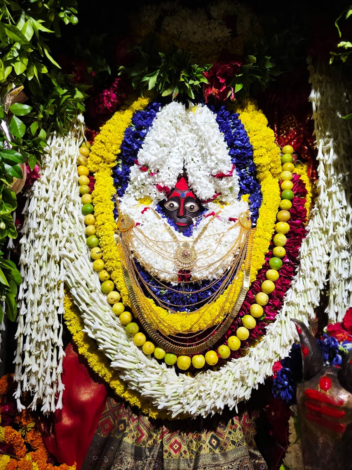 Maa Sheetala was adorned magnificently in a red saree and chunri.