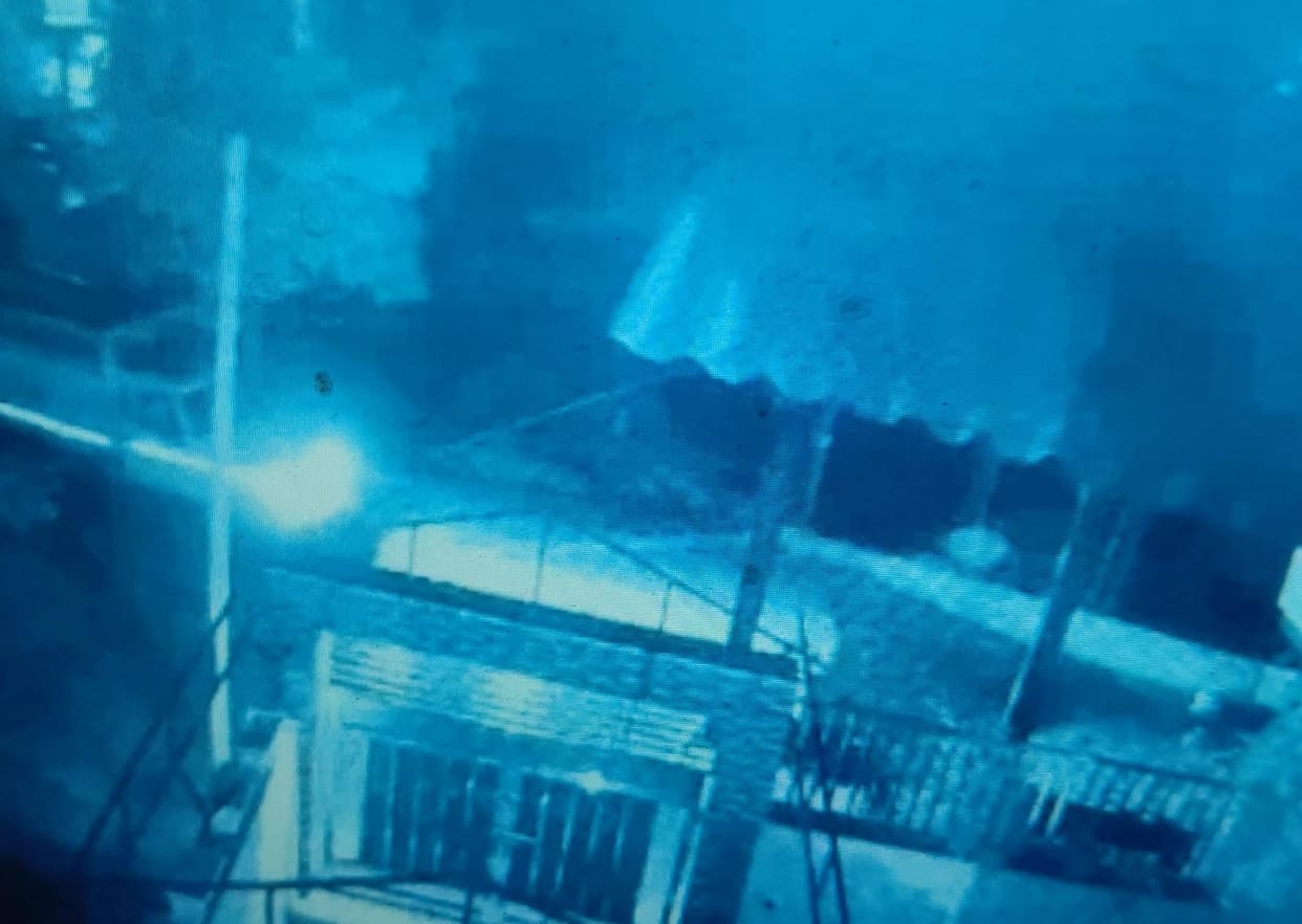 Buffalo stolen from outside a house in Rajpura Khalsa; incident captured on CCTV.