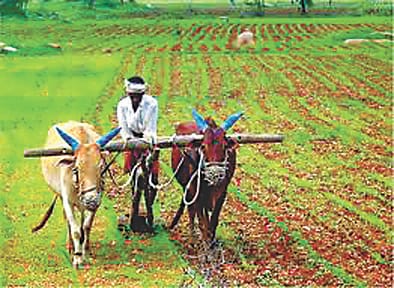 An Agriculture Welfare Centre will be built in the district at a cost of 1.21 crore.