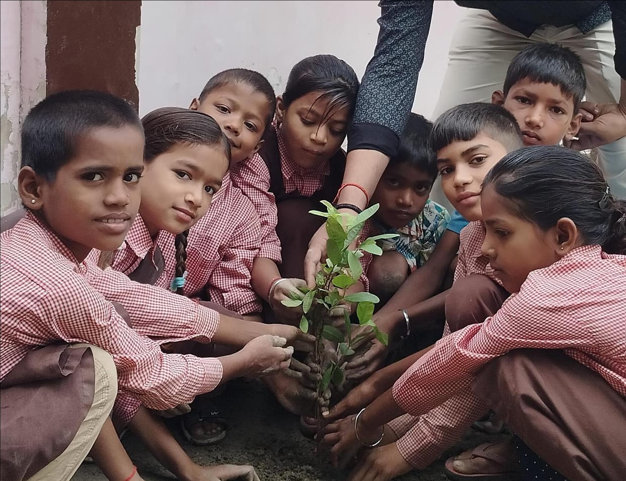 Teachers and children conveyed a message of environmental conservation by planting saplings.