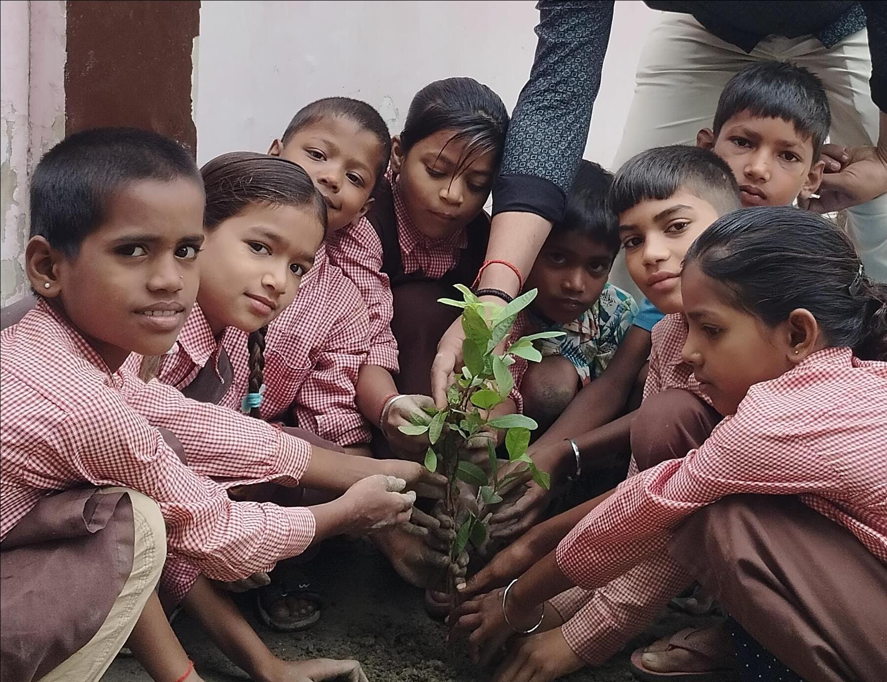 प्राथमिक विद्यालय कोरौली में पौधरोपण करते बच्चे।संवाद