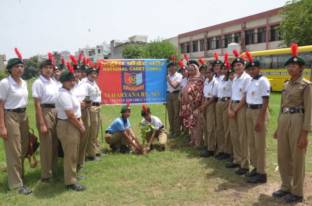 Pledged to conserve by planting saplings