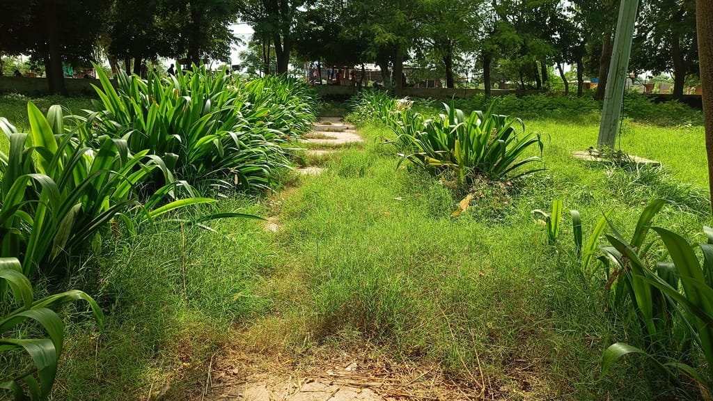 Sanitation work in Fatehabad city gains momentum