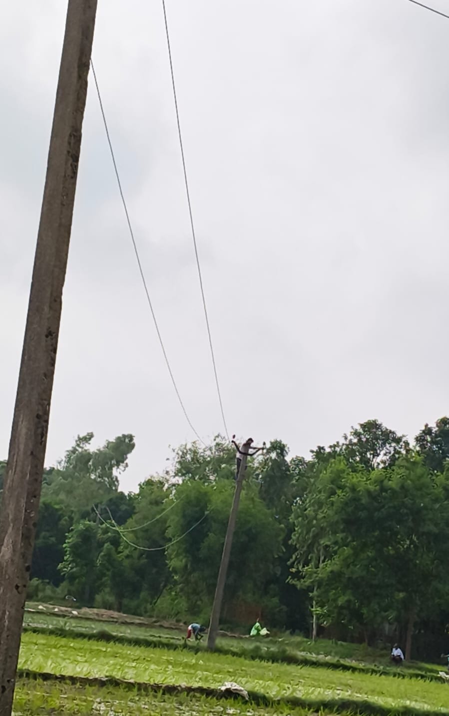 Electricity failure in city and 70 villages due to fault