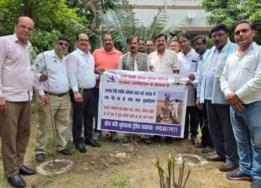 Traders gave impetus to the tree plantation campaign