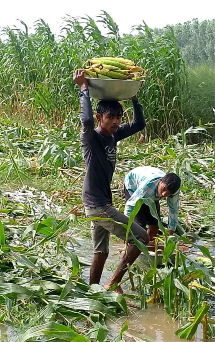 etah news water in farming land