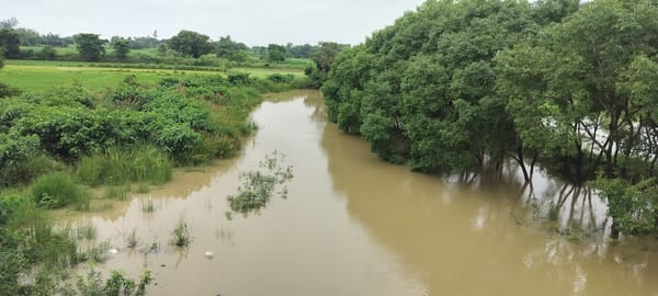 Rising water levels in the Baghela Nala have increased farmers' concerns.