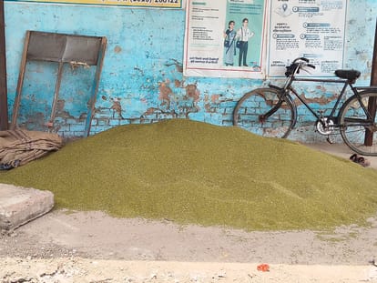 तौल के लिए पड़ी मूंग। संवाद