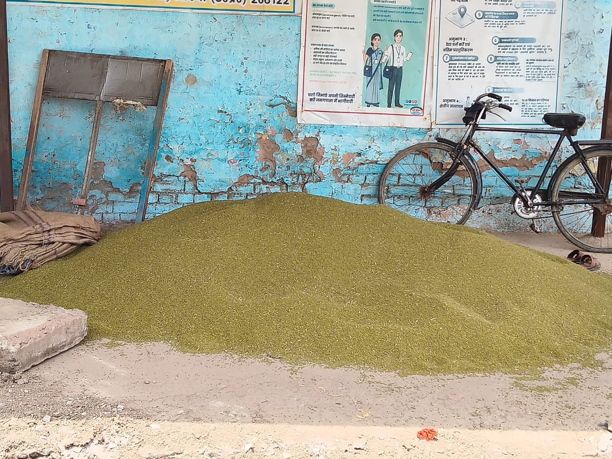 Moong Procurement Hit by Delays and Poor Arrangements at Agra Centres