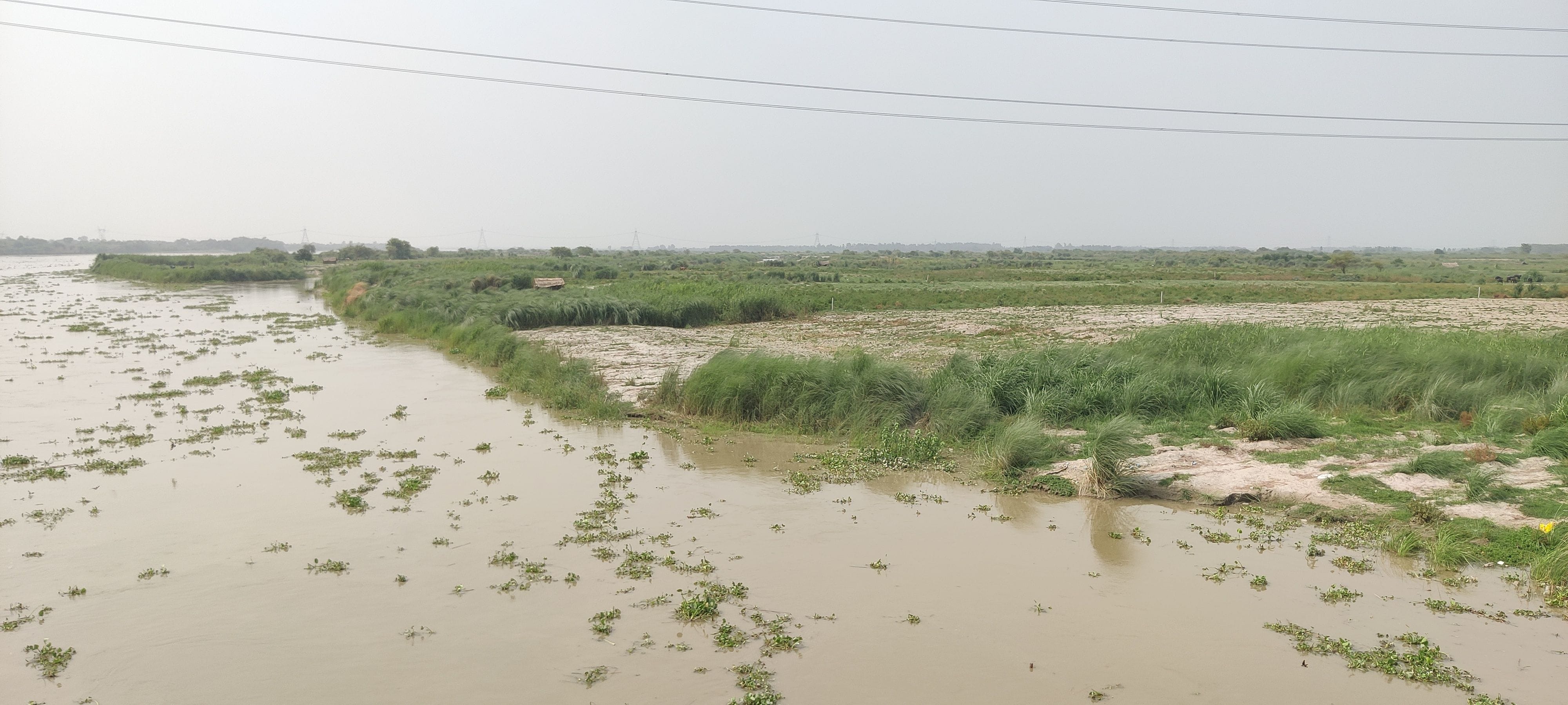 फोटो-24- परियर क्षेत्र में जलस्तर बढ़ने से खेतों के पास पहुंचा गंगा नदी का पानी। संवाद