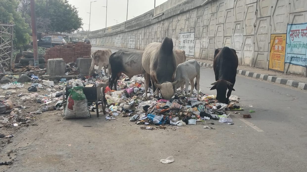 Municipal claims exposed: a massive pile of garbage has accumulated at Devkali Crossing.