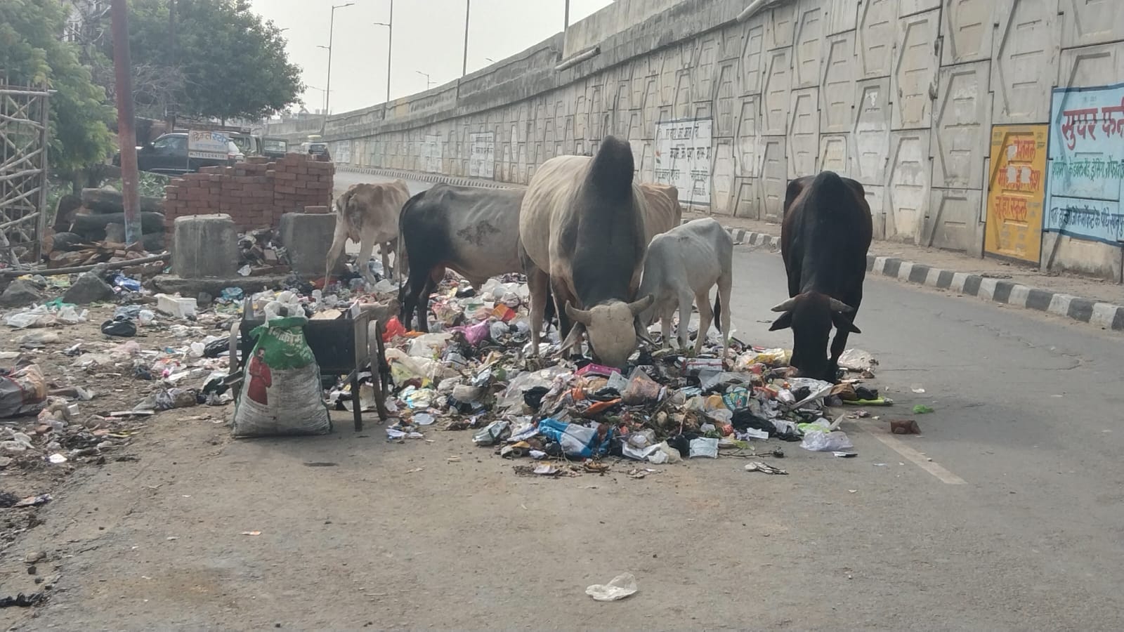 फोटो-4- देवकली चौराहे के पास हाईवे की सर्विस लेन किनारे डंप कूड़ा व मवेशी। संवाद
