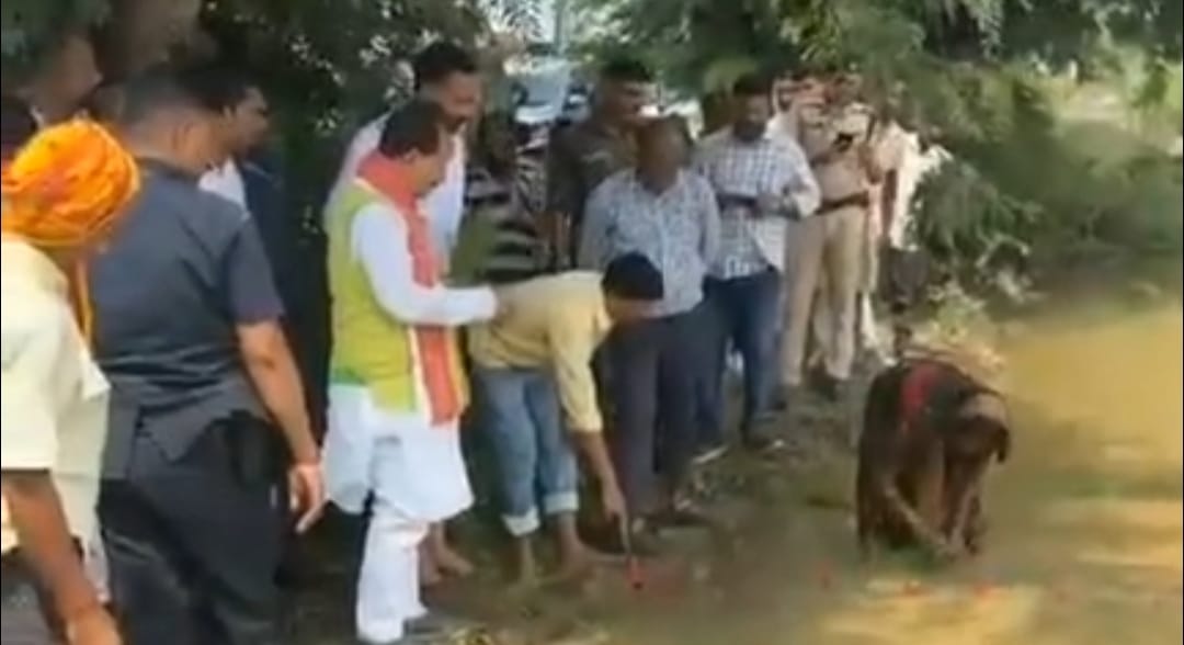 gaya mohra degree college inauguration vijay kumar sinha paddy plantation farmers