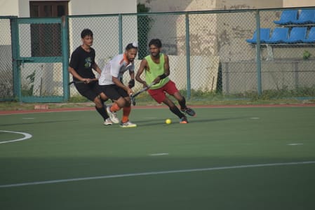 sports news