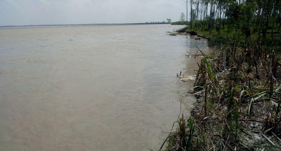 Ganga swells due to rain and barrage discharge; farmers worried about saving crops.