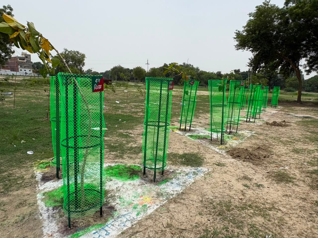 ज्ञानपुर के हॉस्टल ग्राउंड में राज्यमंत्री दयाशंकर मिश्र दयालु  समेत अन्य के रोपित पौधे। संवाद