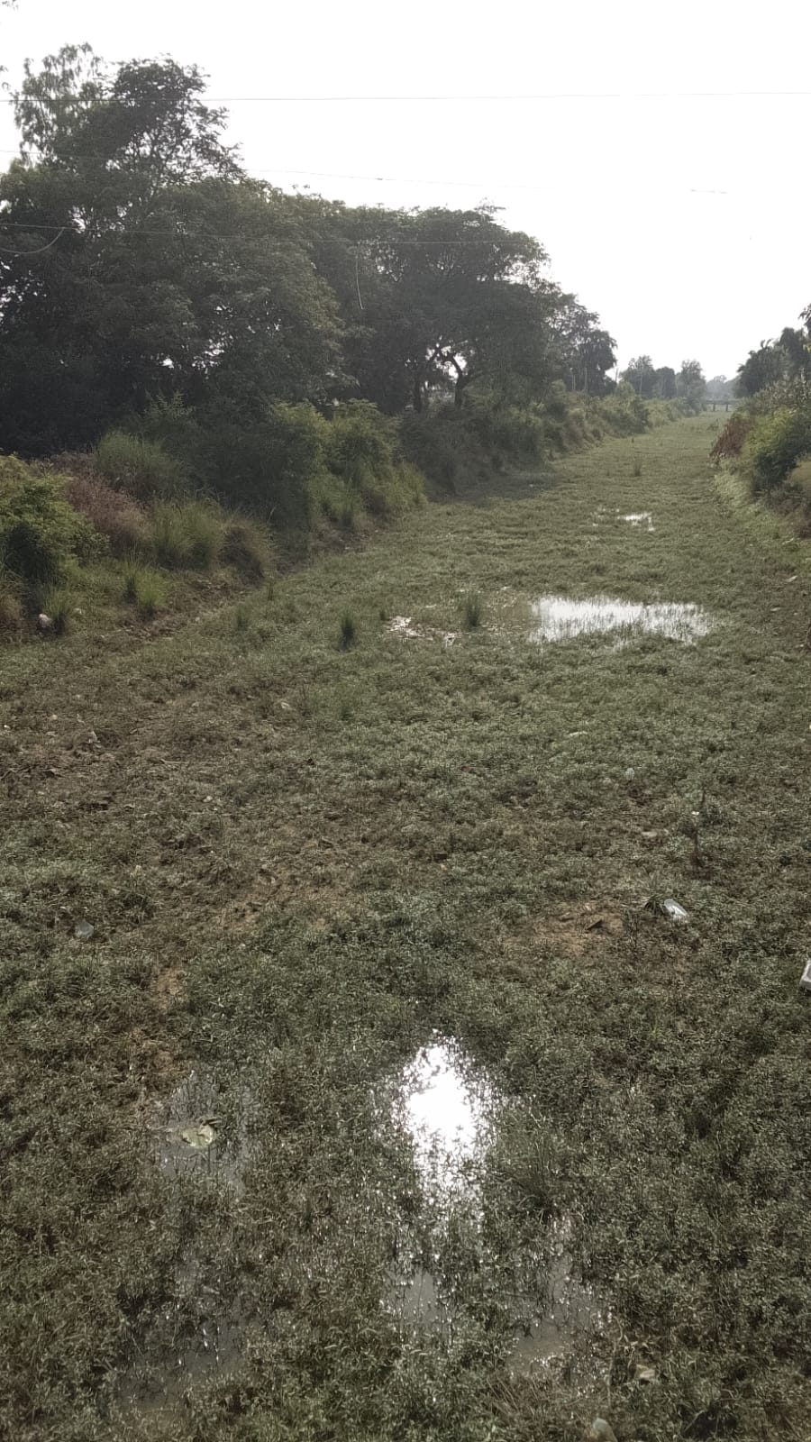 Water did not reach the Sharda Sahayak Canal (Section 32) when it was needed.