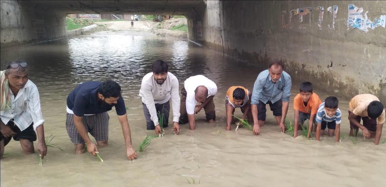 Waterlogged Lami Underpass: Protest Registered by Planting Paddy