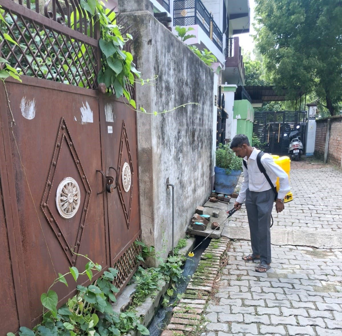 Four villages in high-risk dengue zone, increased monitoring
