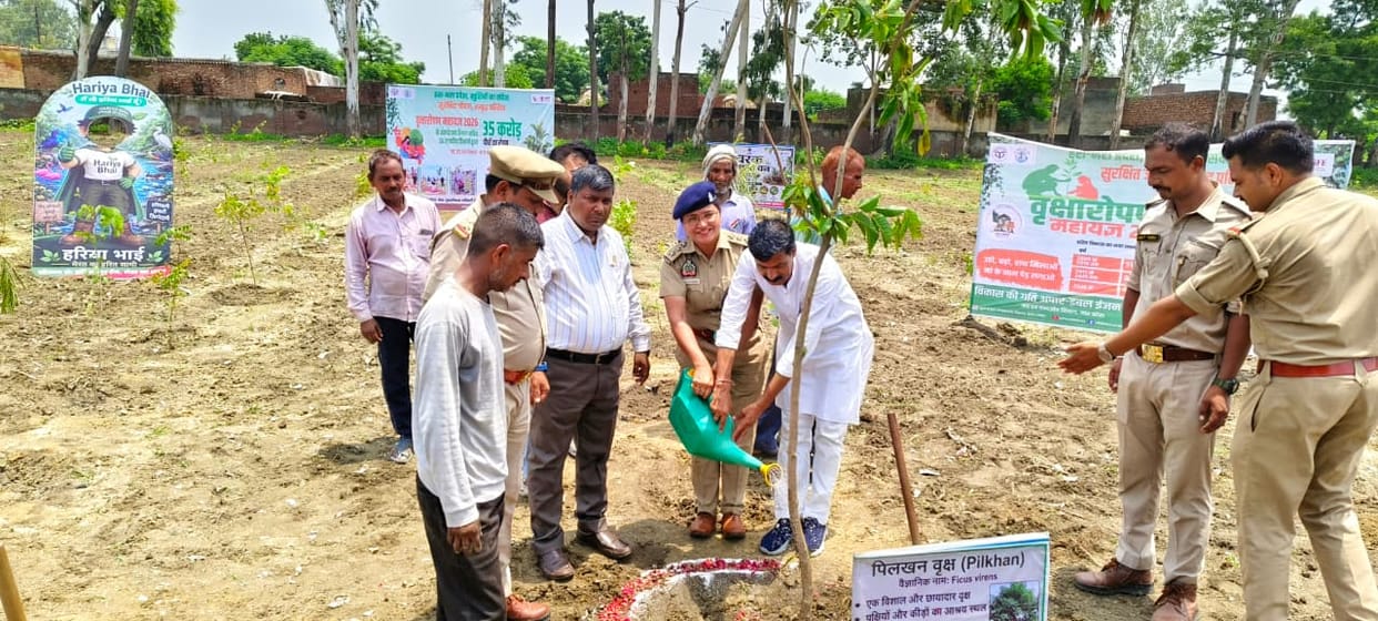 Medicinal plants planted in the Maharshi Charak Medicinal Forest; pledge taken for environmental conservation.