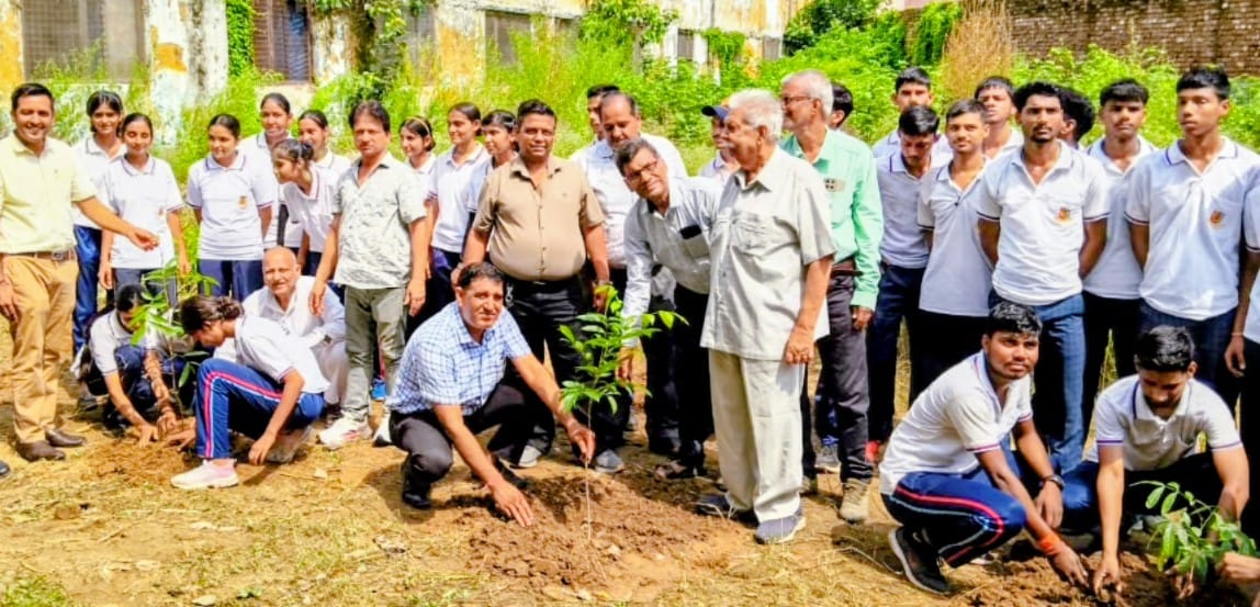 Tree plantation was carried out on the college campus.