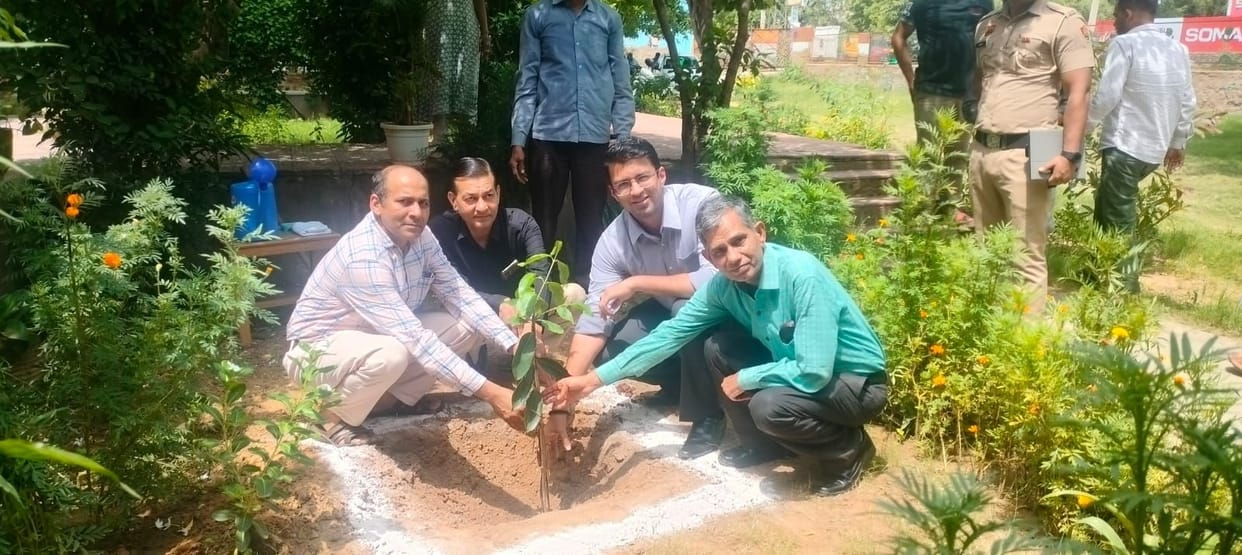 Tree plantation carried out at the internship conclusion ceremony.