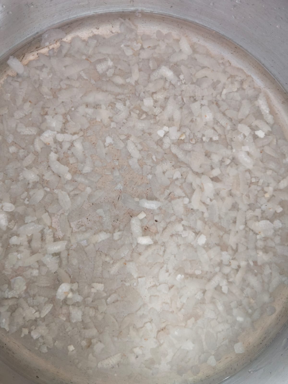 Flattened rice and vermicelli infested with weevils and beetles sent for female students