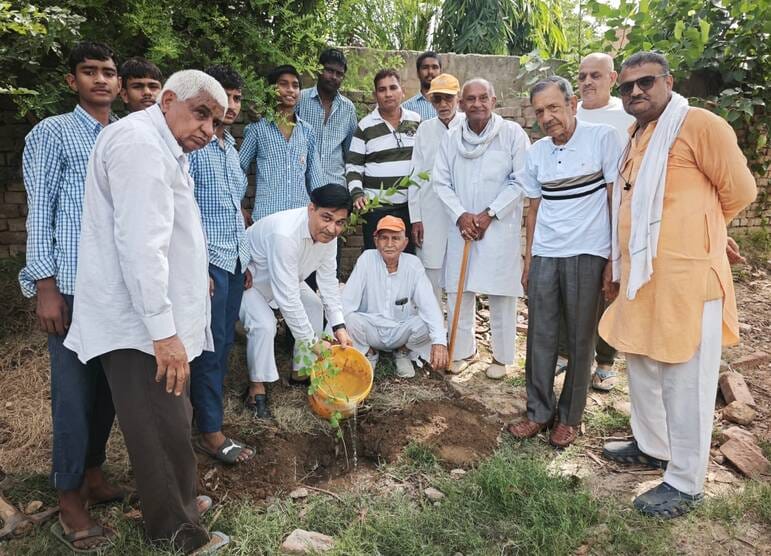 Tree plantation carried out at the government school in Dulhera village.