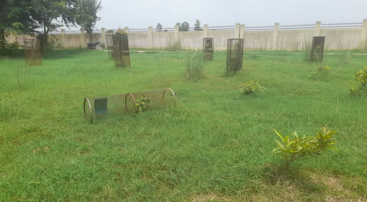 Memorial groves have lapsed into silence... the saplings lie fallen on the ground.
