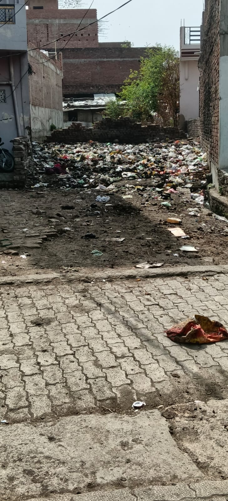 The garbage collector asks... "When should I pick up the trash?"