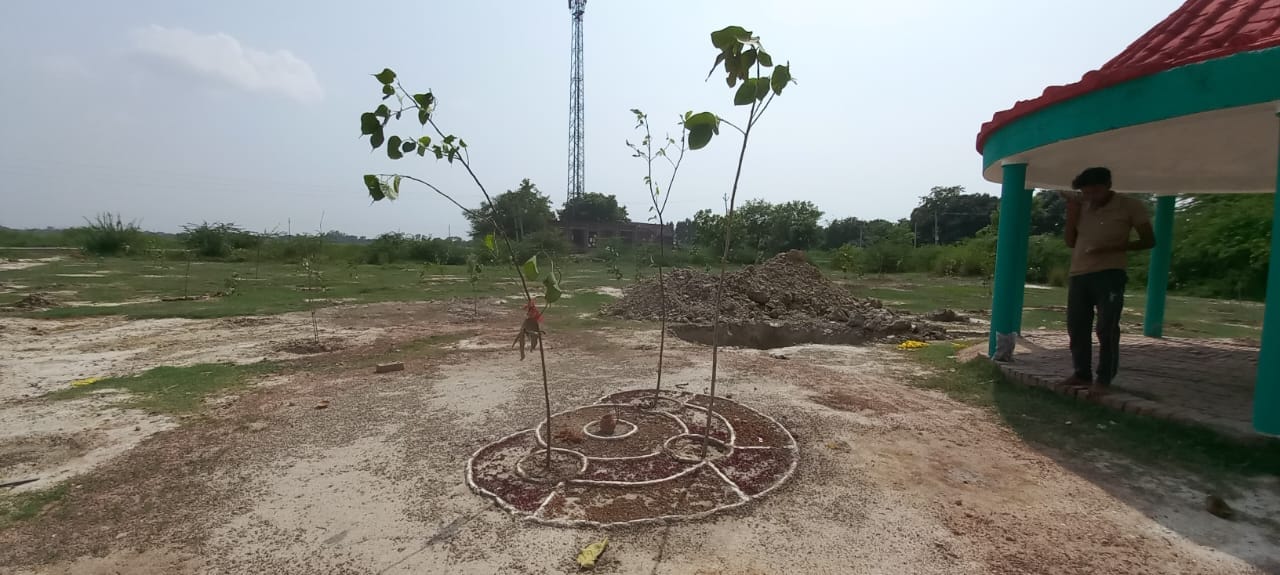 खेल व युवा कल्याण मंत्री गिरीश चंद्र यादव द्वारा रोपे गए पौधे की नहीं की गई सुरक्षा। संवाद