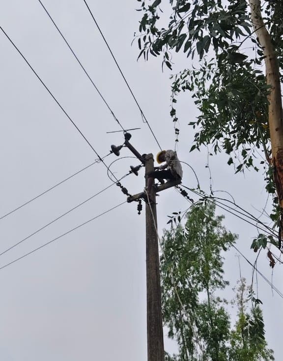 Electricity supply to 160 villages along with the city is in disarray