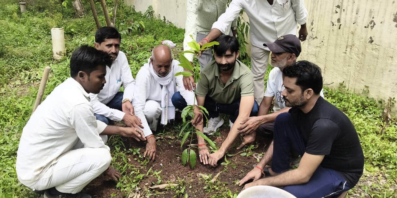 रॉबर्ट्सगंज सिंचाई डाक बगला में पौधरोपण करते रालोद के पदाधिकारी। संवाद