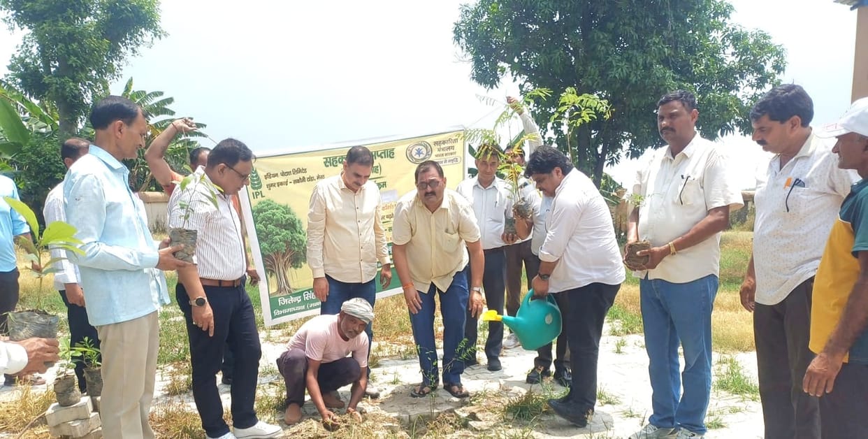 IPL Sugar Mill and Sugarcane Society conducted a tree plantation drive.