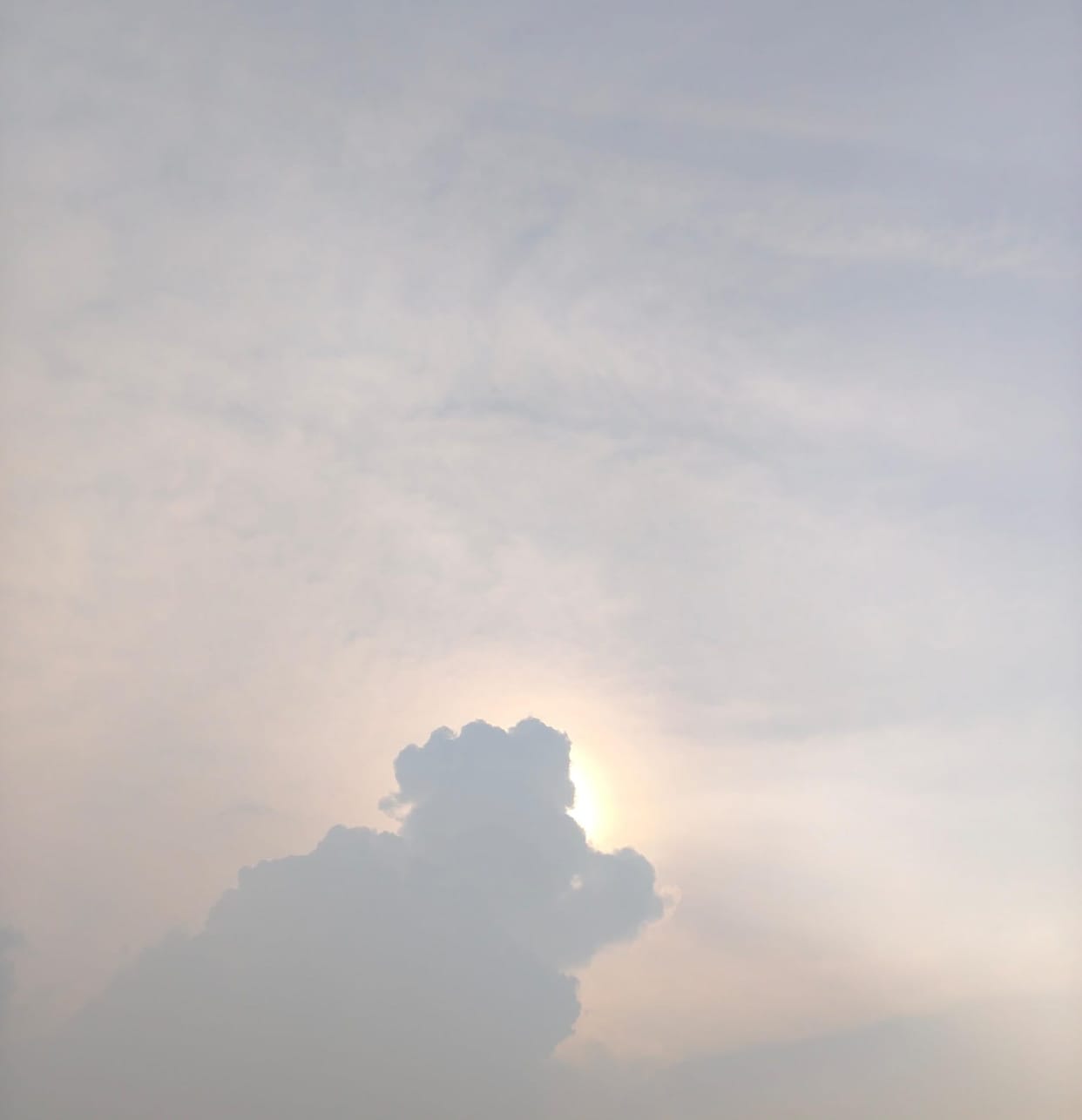 Bright sunshine during the day, light rain in the evening.
